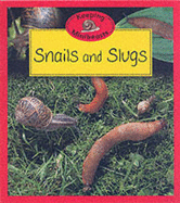 Snails and Slugs