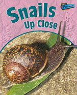 Snails Up Close
