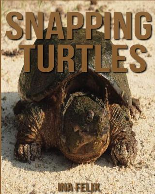 Snapping Turtles: Children Book of Fun Facts & Amazing Photos on ...