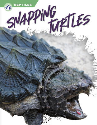 Snapping Turtles - Jade, Shannon