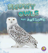 Snowy Owls Are Awesome