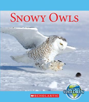 Snowy Owls - Zeiger, Jennifer