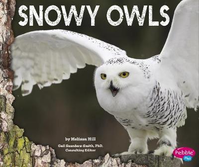 Snowy Owls - Saunders-Smith, Gail, PhD (Consultant editor), and Hill, Melissa