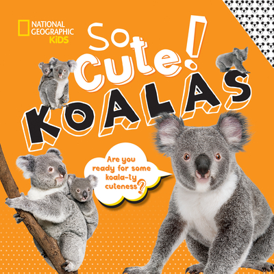 So Cute!: Koalas - Boyer, Crispin