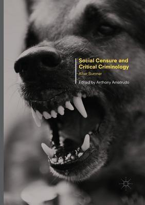 Social Censure and Critical Criminology: After Sumner - Amatrudo, Anthony (Editor)