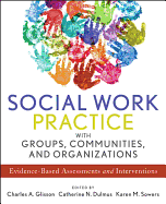 Social Work Practice with Groups, Communities, and Organizations: Evidence-Based Assessments and Interventions