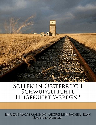 Sollen in Oesterreich Schwurgerichte Eingefuhrt Werden? - Galindo, Enrique Vacas, and Lienbacher, Georg, and Alberdi, Juan Bautista