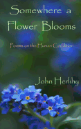 Somewhere a Flower Blooms: Poems on the Human Condition
