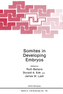 Somites in Developing Embryos
