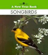 Songbirds - Flanagan, Alice K