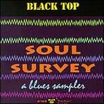 Soul Survey: A Blues Sampler - Various Artists