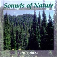 Sounds of Nature: Pine Forest [Tranquil Moods] - Various Artists