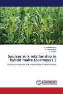 Sources sink relationship in hybrid maize (Zeamays L.)