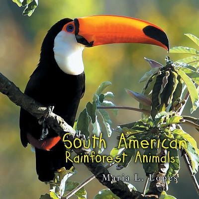 South American Rainforest Animals - Lopes, Maria L