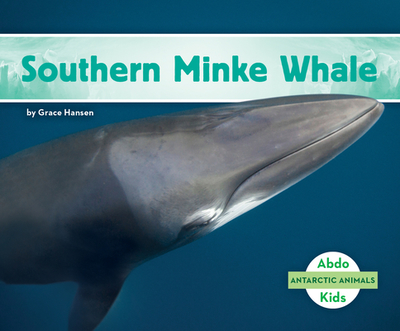 Southern Minke Whale - Hansen, Grace