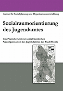 Sozialraumorientierung des Jugendamtes: Ein Praxisbericht zur sozialr?umlichen Neuorganisation des Jugendamtes der Stadt Moers