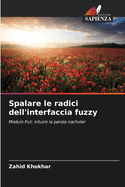 Spalare le radici dell'interfaccia fuzzy