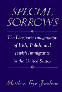 Special Sorrows: The Diasporic Imagination of Irish, Polish, and Jewish Immigrants in the United States