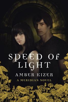 Speed of Light - Kizer, Amber