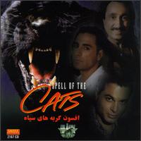 Spell of the Cats - Black Cats