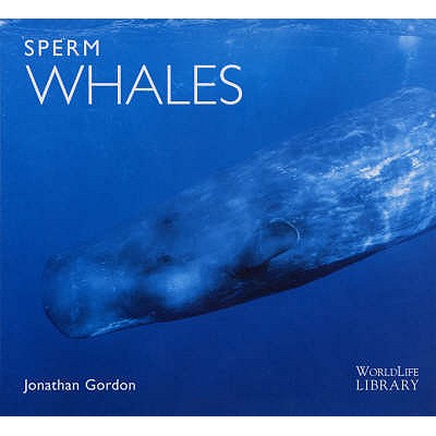 Sperm Whales - Gordon, Jonathon