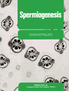 Spermiogenesis - Phillips, David M