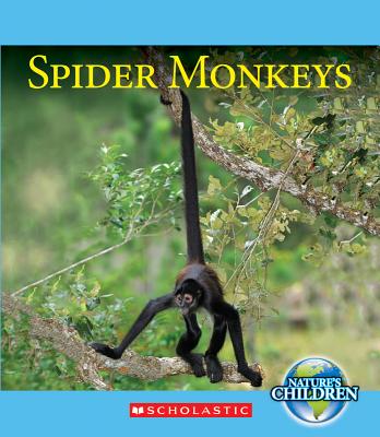 Spider Monkeys - Franchino, Vicky