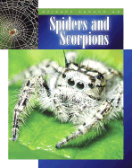 Spiders and Scorpions