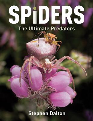 Spiders: The Ultimate Predators - Dalton, Stephen