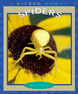 Spiders