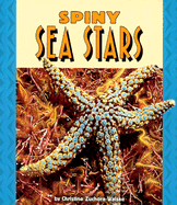 Spiny Sea Stars
