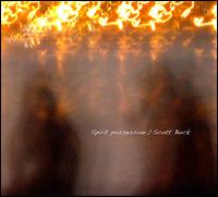 Spirit Possession - Scott Buck