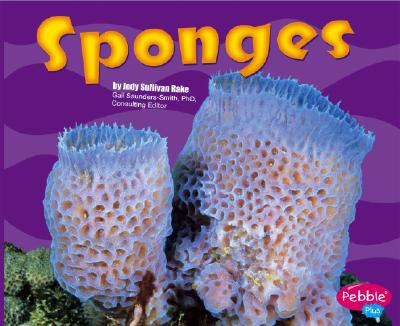 Sponges - Rake, Jody S