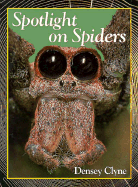 Spotlight on Spiders - Clyne, Densey, and Clyne