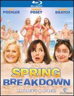 Spring Breakdown [Blu-ray]