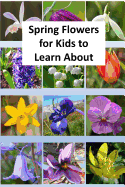 Spring Flowers for Kids to Learn about