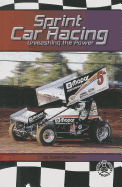 Sprint Car Racing: Unleashing the Power