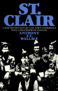 St. Clair: A Nineteenth-Century Coal Town's Experience with a Disaster-Prone Industry - Wallace, Anthony F C