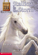 Stallion in the Storm - Baglio, Ben M