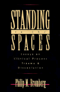 Standing in the Spaces: Essays on Clinical Process Trauma and Dissociation