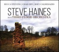 Steve Haines and the Third Floor Orchestra  - Steve Haines and the Third Floor Orchestra