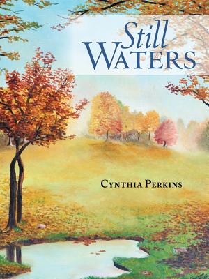 Still Waters - Perkins, Cynthia