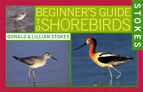Stokes Beginner's Guide to Shorebirds