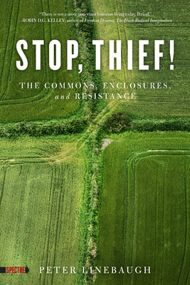 Stop, Thief!: The Commons, Enclosures, and Resistance - Linebaugh, Peter