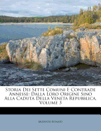 Storia Dei Sette Comuni E Contrade Annesse: Dalla Loro Origine Sino Alla Caduta Della Veneta Repubblica, Volume 3