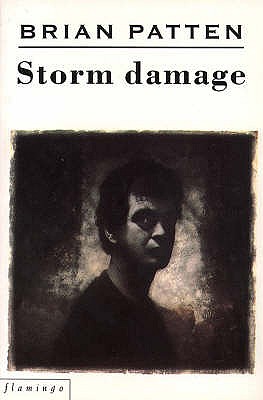 Storm Damage - Patten, Brian