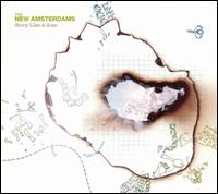 Story Like a Scar - The New Amsterdams