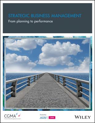 Strategic Business Management: From Planning to Performance - Cokins, Gary