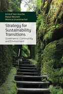 Strategy for Sustainability Transitions: Governance, Community and Environment