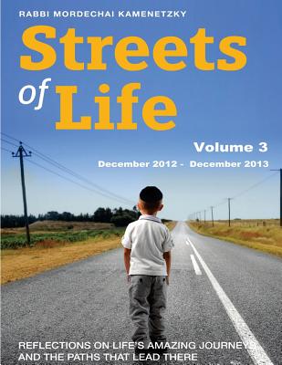 Streets of Life Collection Volume 3: Reflections on Life's Amazing Journeys and the Paths that Lead There - Kamenetzky, Rabbi Mordechai